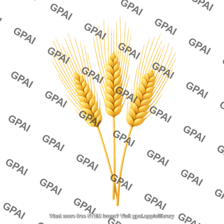 Barley stalks food