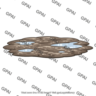 Coastal mudflat