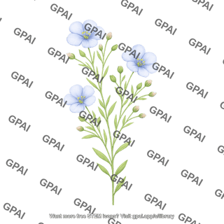 Flax plant linum usitatissimum