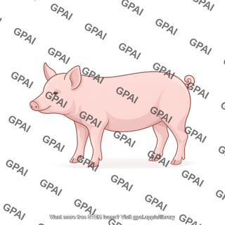 Pig adolescent