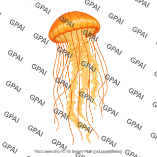 Pacific sea nettle chrysaora fuscescens