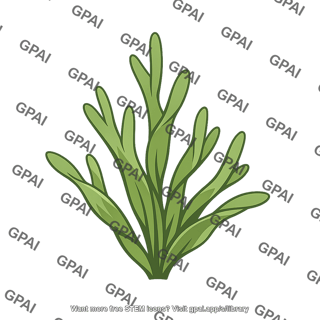 Aquatic alga