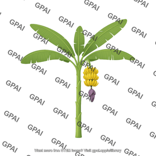 Banana plant