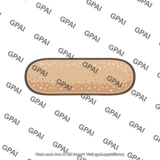 Rod shaped bacterium