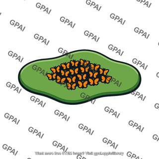 Subpopulation butterfly patch