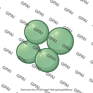 Coccus