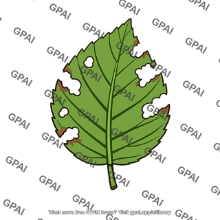 Leaf damaged