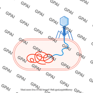 Transduction
