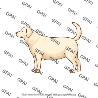 Dog body condition score 7