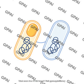 Sporulation phase 1