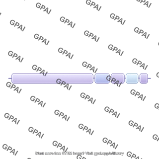 Viral genome sars cov 2