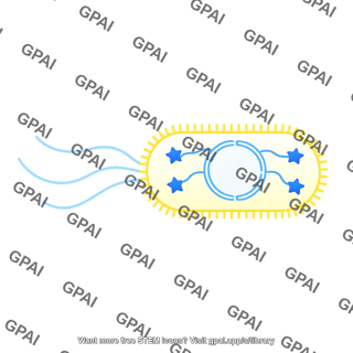 Phage display star
