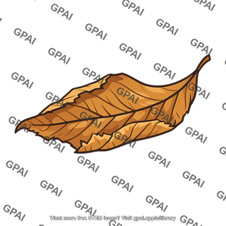Dried leaf