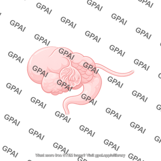 Ruminant gi tract