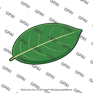 Button mangrove leaf