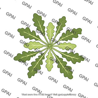 Arabidopsis rosette mutant 3
