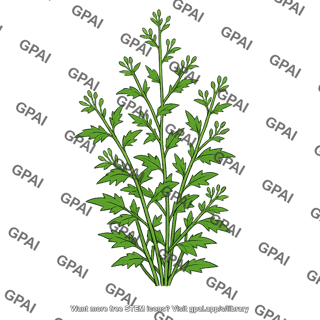 Weedy plant
