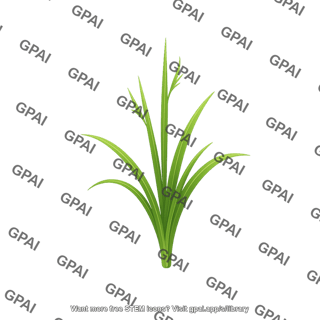 Rice seedling 2
