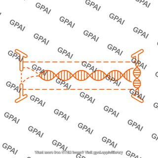 Aav genome strand annealing