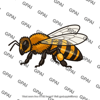 European honeybee