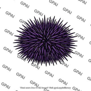 Purple sea urchin