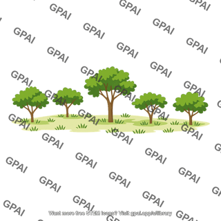 Open woodland
