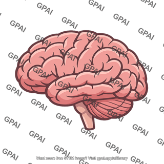 Brain