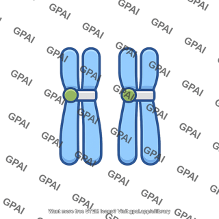 Homozygote