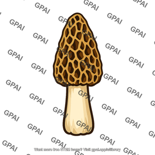 Morel
