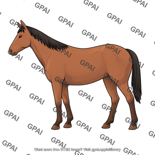 Horse 01
