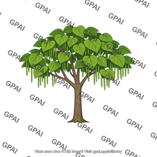 Catalpa