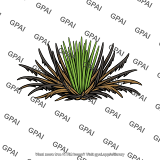 Longleaf pine seedling burned