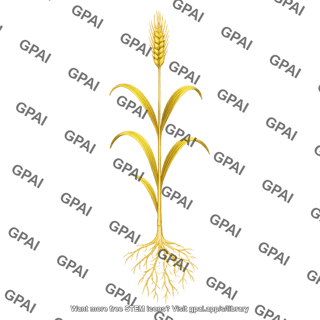 Wheat mature with roots