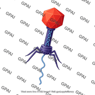 Bacteriophage