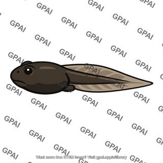 Scaphiopus tadpole