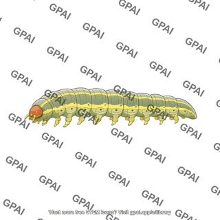 Egyptian cotton leafworm spodoptera littoralis larva