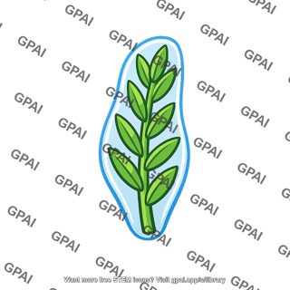Aquatic plant boundary layer