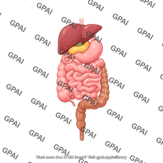Mouse gi tract