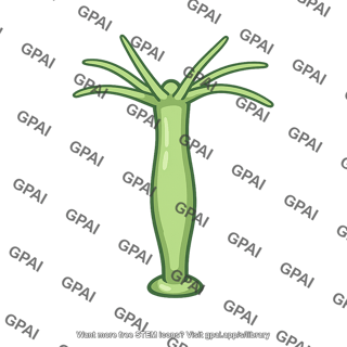 Hydra