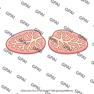 Salt gland seabird paired