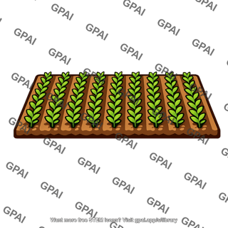 Food crop field