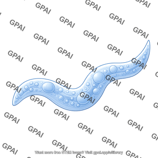 C. elegans mutant dpy