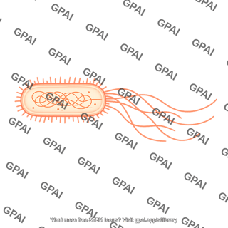 E coli long flagella