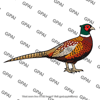 Ring necked pheasant male