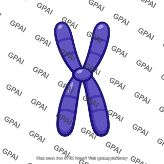 Condensed chromosome