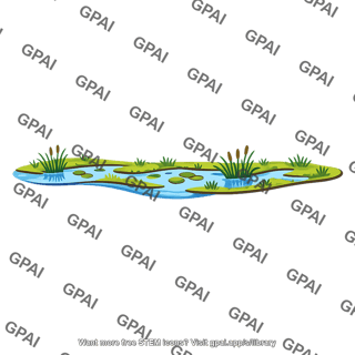 Wetland along river