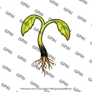 Seedling infected