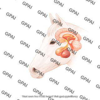 Horse hypothalamus and pituitary gland with ppid