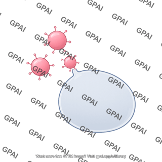 Viral infection