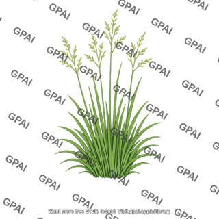 Mesic prairie grass
